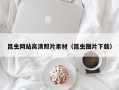 甘南昆虫网站高清照片素材（昆虫图片下载）